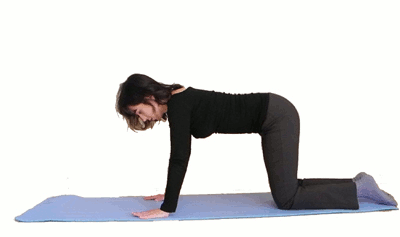 glute exercises in four point kneeling position